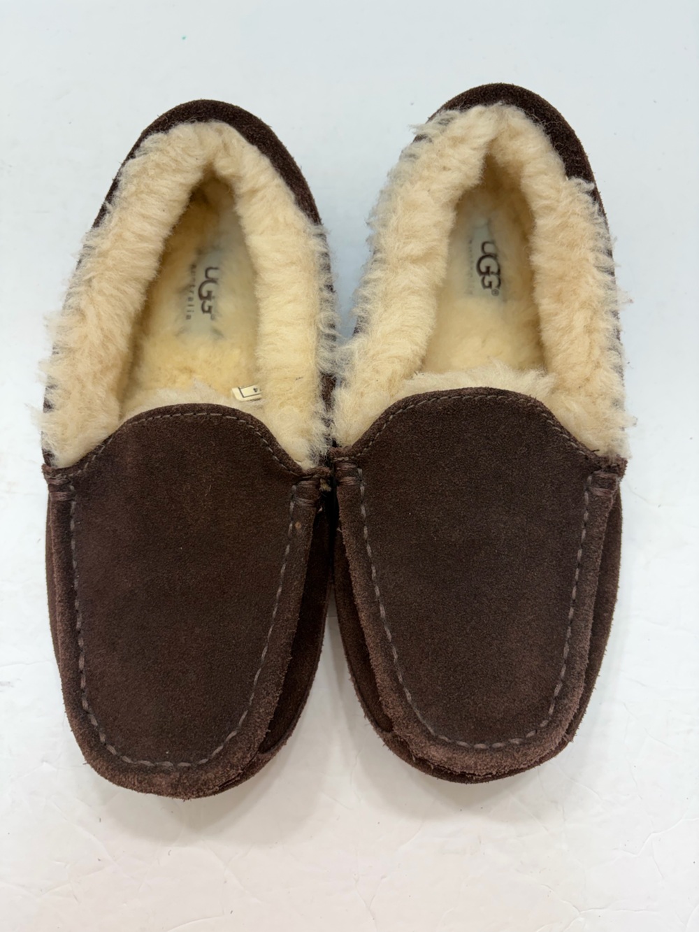 UGG Kids/Youth Ascot Slipper Espresso Brown Size US 4 (Womens US 6 / EU 34)